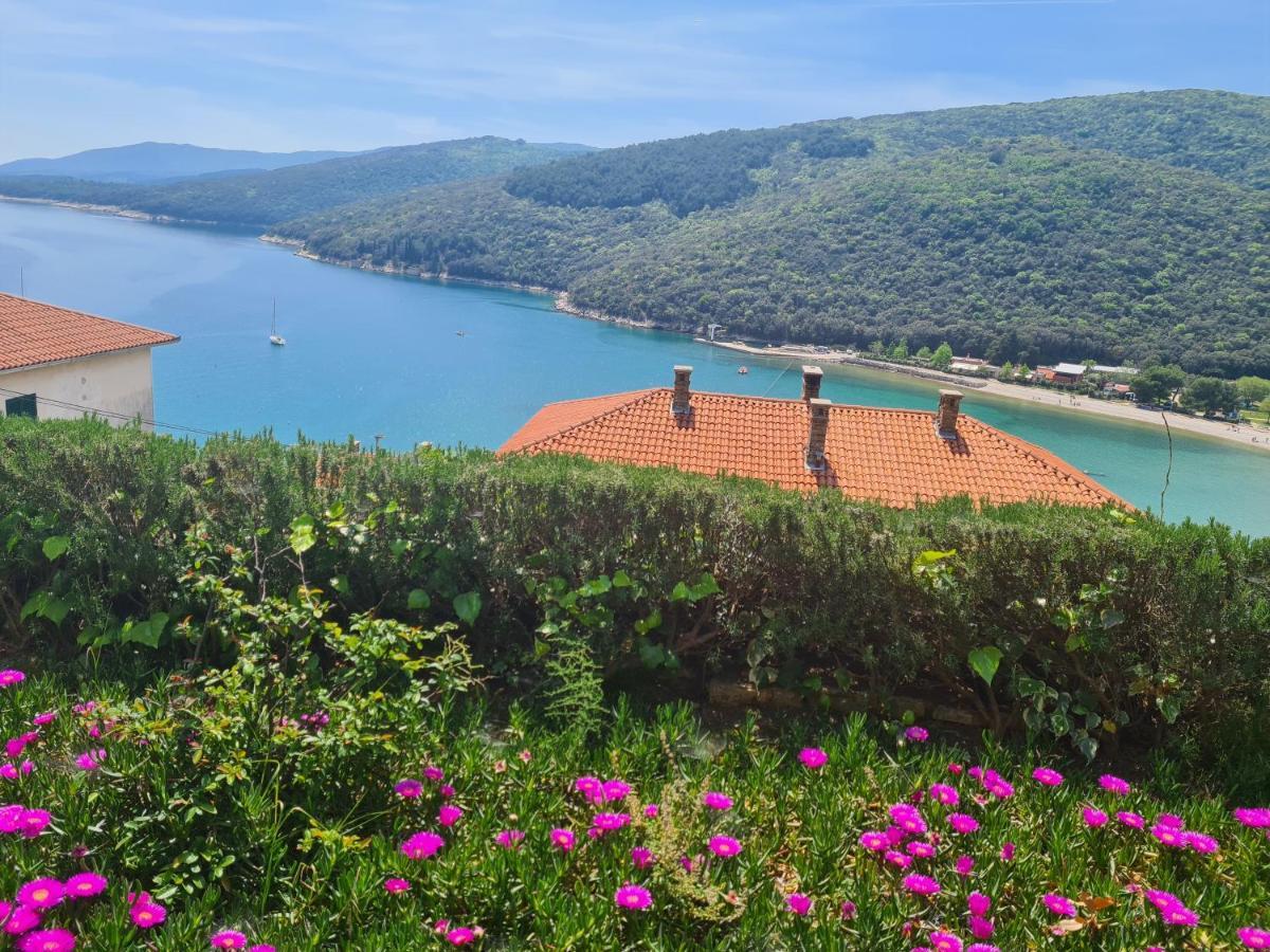 Apartamento Porto Albona *